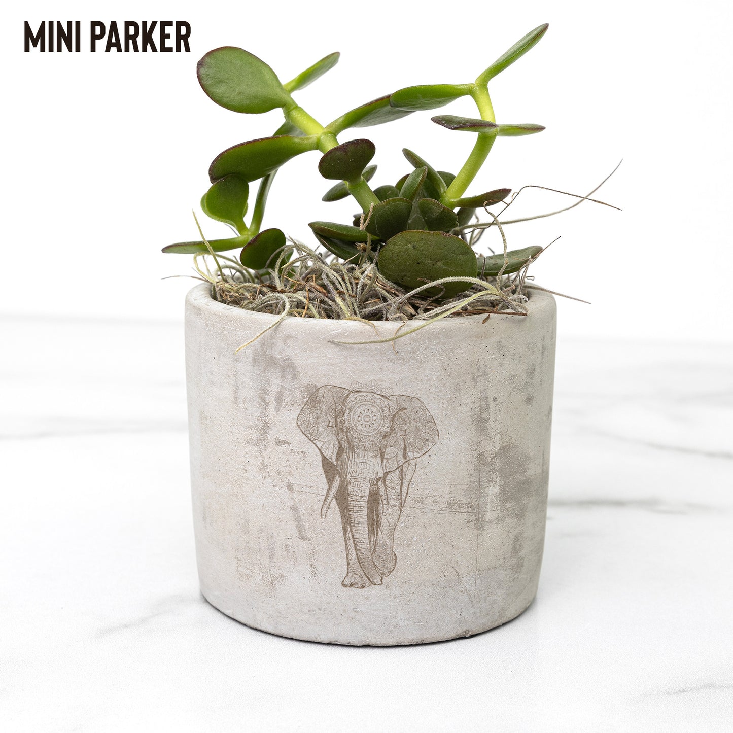 Bestselling Desk Plants with Mandala Elephant Design | Bold African Elephant on a Plant Vase | Recycled Pots