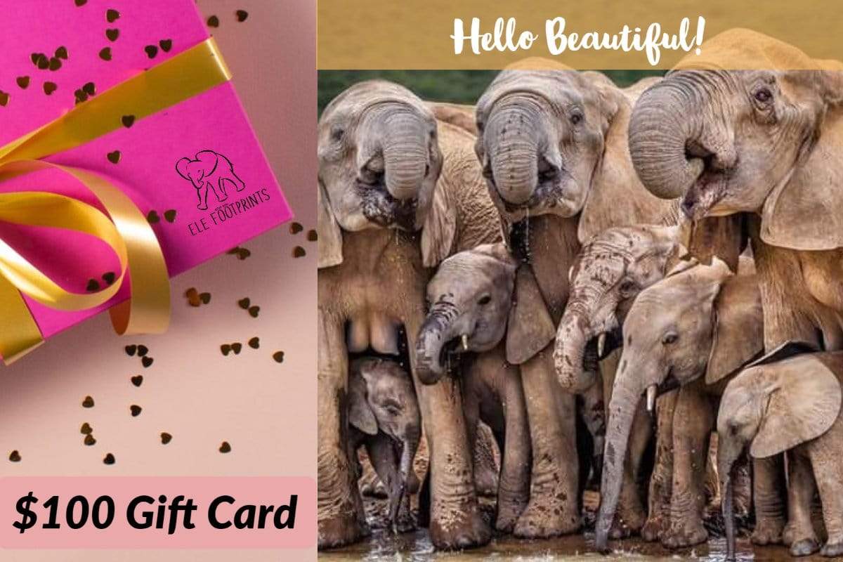 $100.00 eGift Card