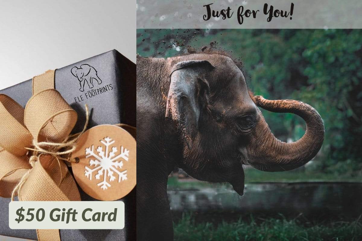 $50.00 eGift Card