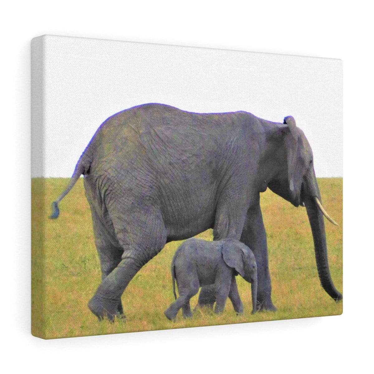 Elephant Canvas Wrap - Mama and Baby Elephants Walking