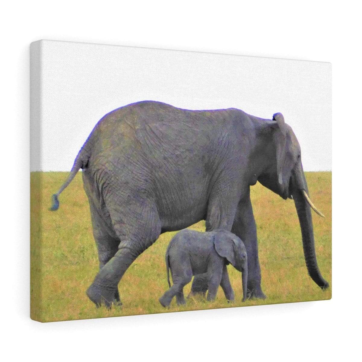 Elephant Canvas Wrap - Mama and Baby Elephants Walking
