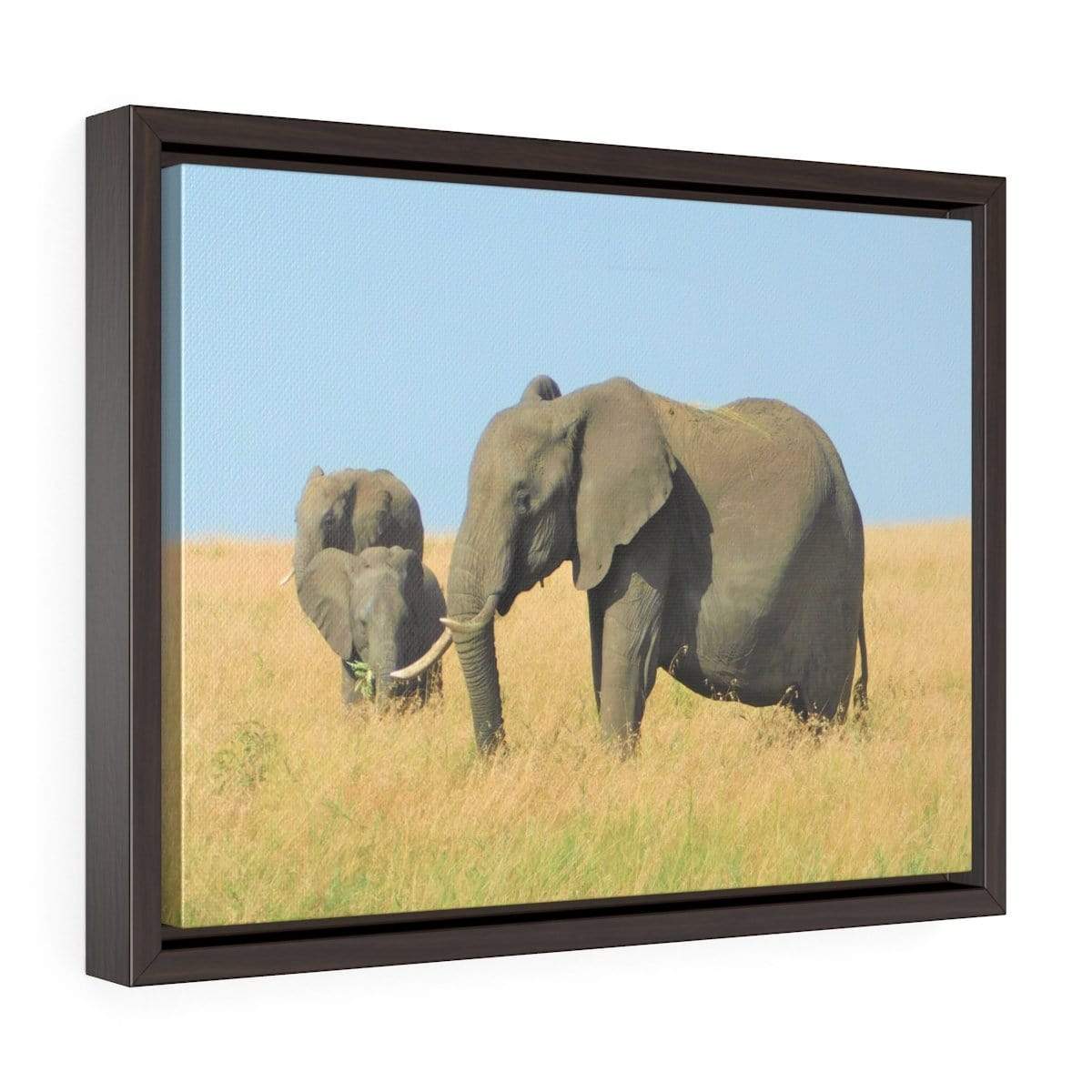 Framed Elephant Canvas - Elephant Family Grazing