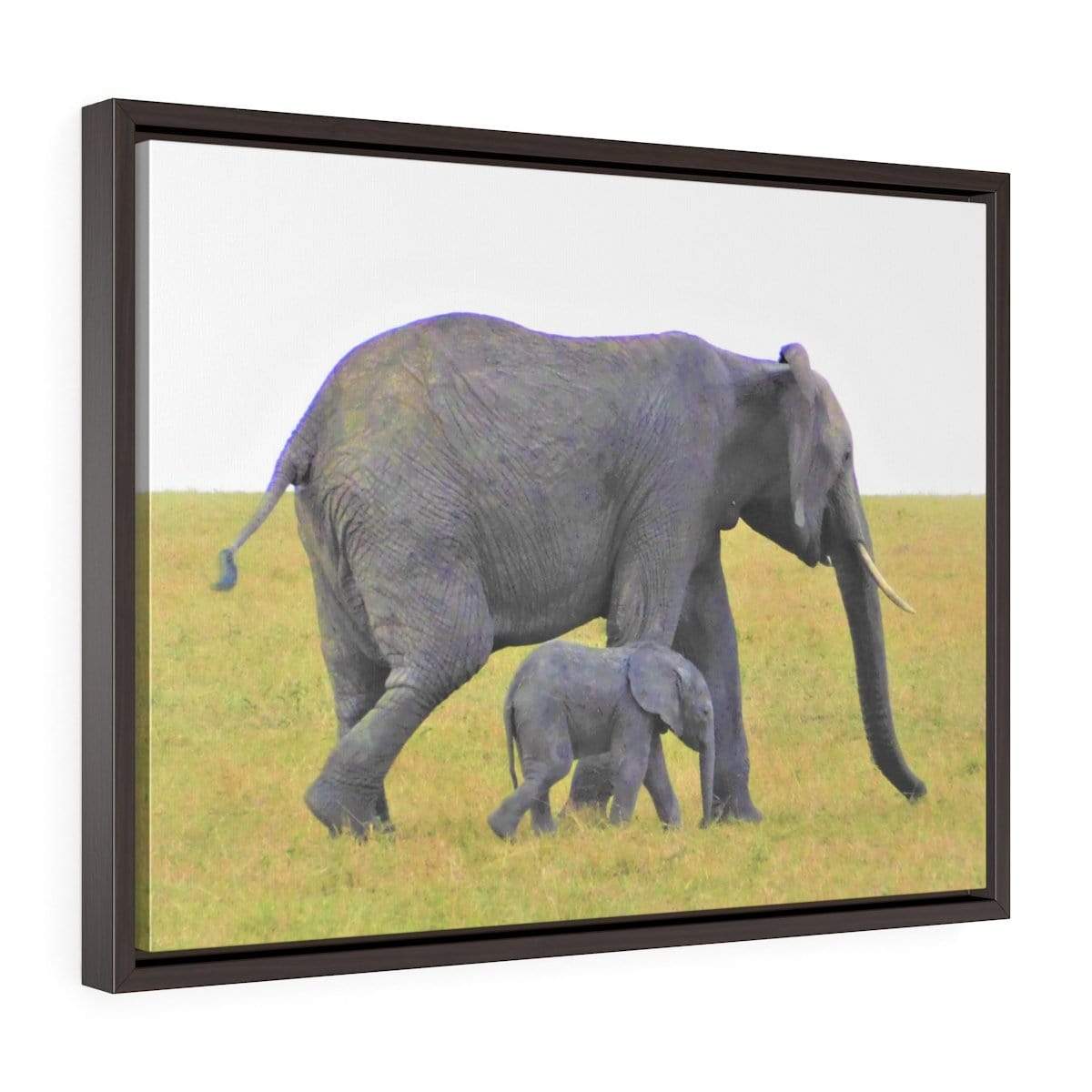Framed Elephant Canvas - Mama and Baby Elephants Walking
