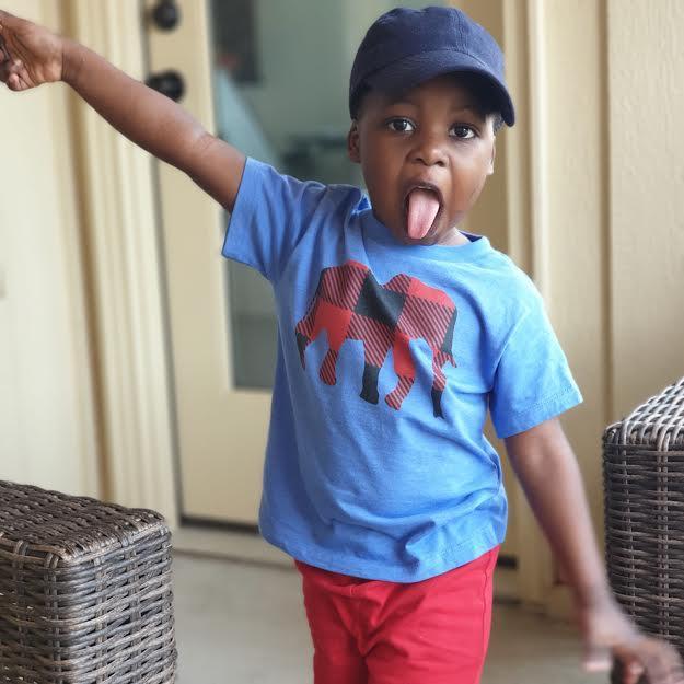 Toddler Short Sleeve Red Buffalo Tee