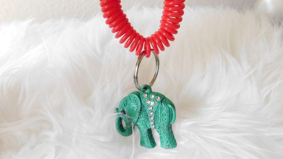 Vibrant Wrist Key Chain - Elephant Footprints