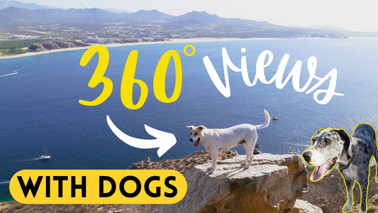 Cabo San Lucas Pacific Ocean Views from the Dog Friendly Mount Solmar in Mexico