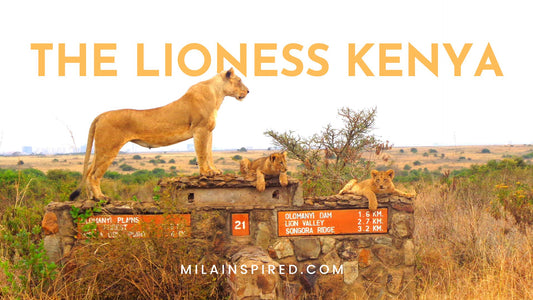 The Lioness Kenya_Inspired