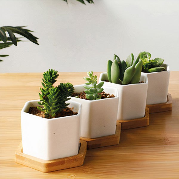 Succulent Planter -Small -Set of 3- (Plants NOT Included)