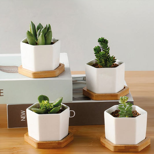 Succulent Planter -Small -Set of 3- (Plants NOT Included)