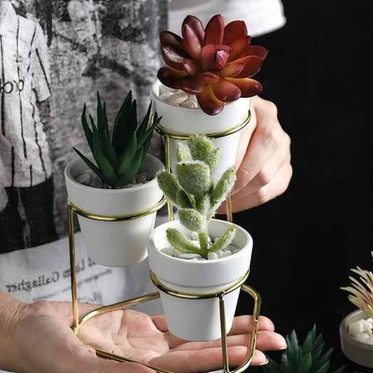 3 in 1  Pottery Planter (Plants not included)