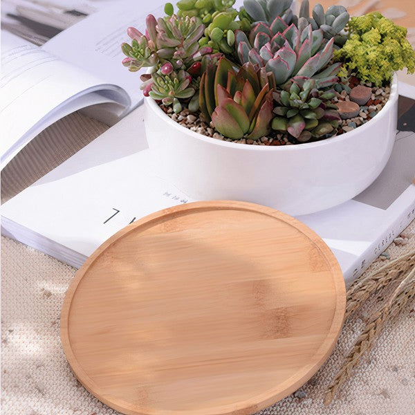 Succulent Planter -Round (Plants not included)