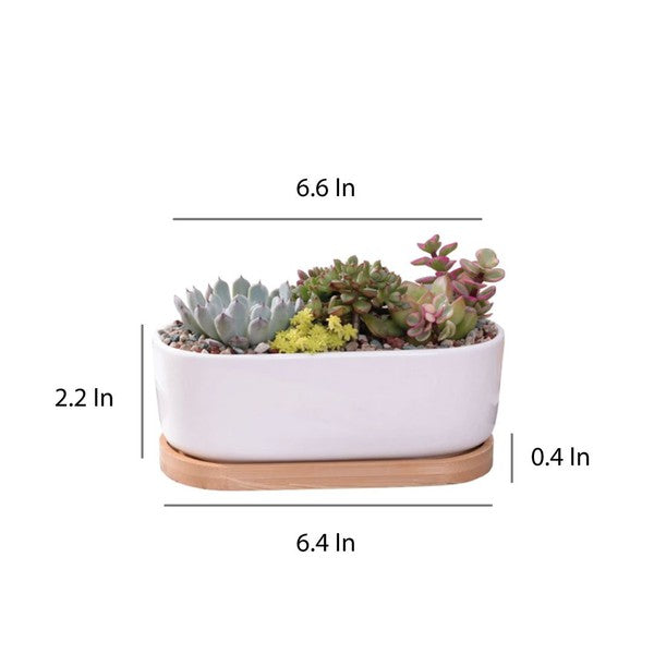 Succulent Planter -Elongated (Plants not included)