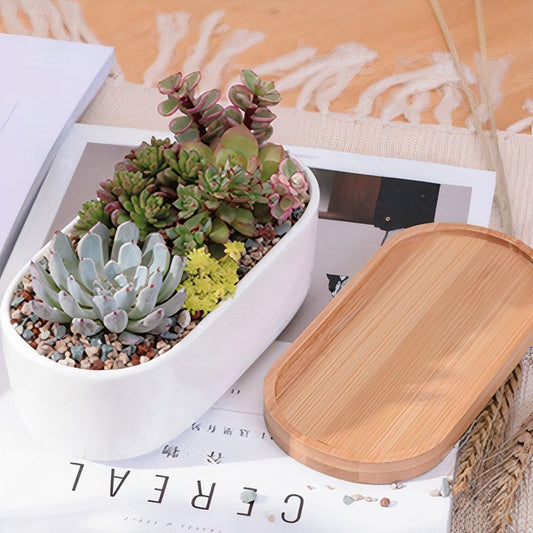 Succulent Planter -Elongated (Plants not included)