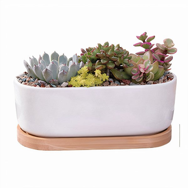 Succulent Planter -Elongated (Plants not included)