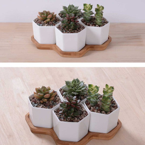 Beehive Planter (Plants not included)