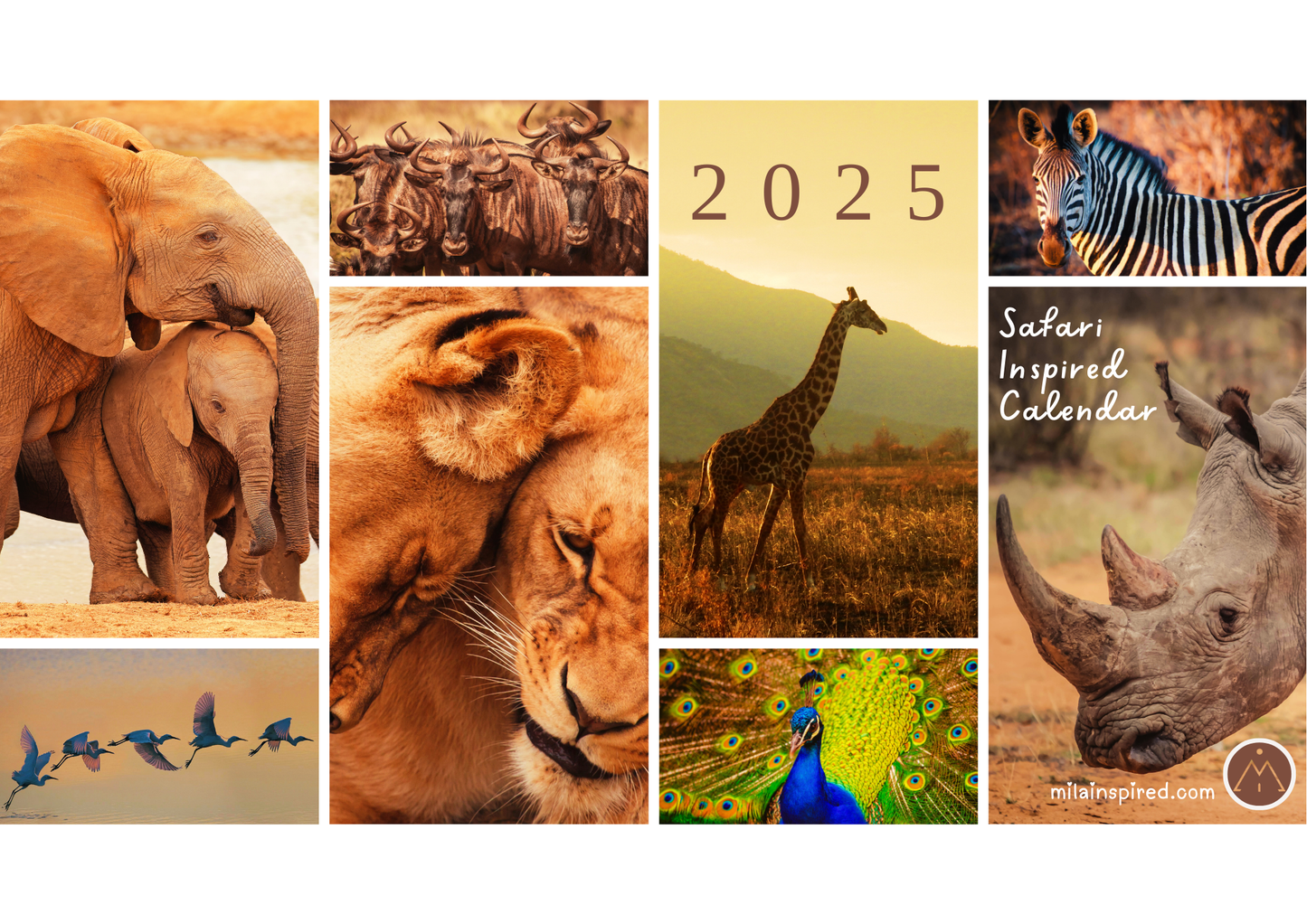 Digital 2025 Calendar with African Safari-Inspired Images - Stunning African Wildlife with Inspiring Sayings