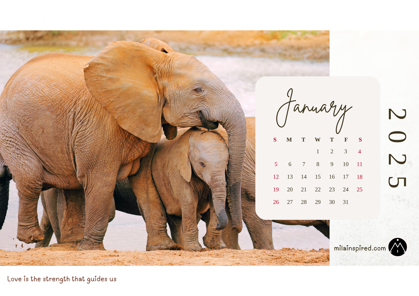 Digital 2025 Calendar with African Safari-Inspired Images - Stunning African Wildlife with Inspiring Sayings