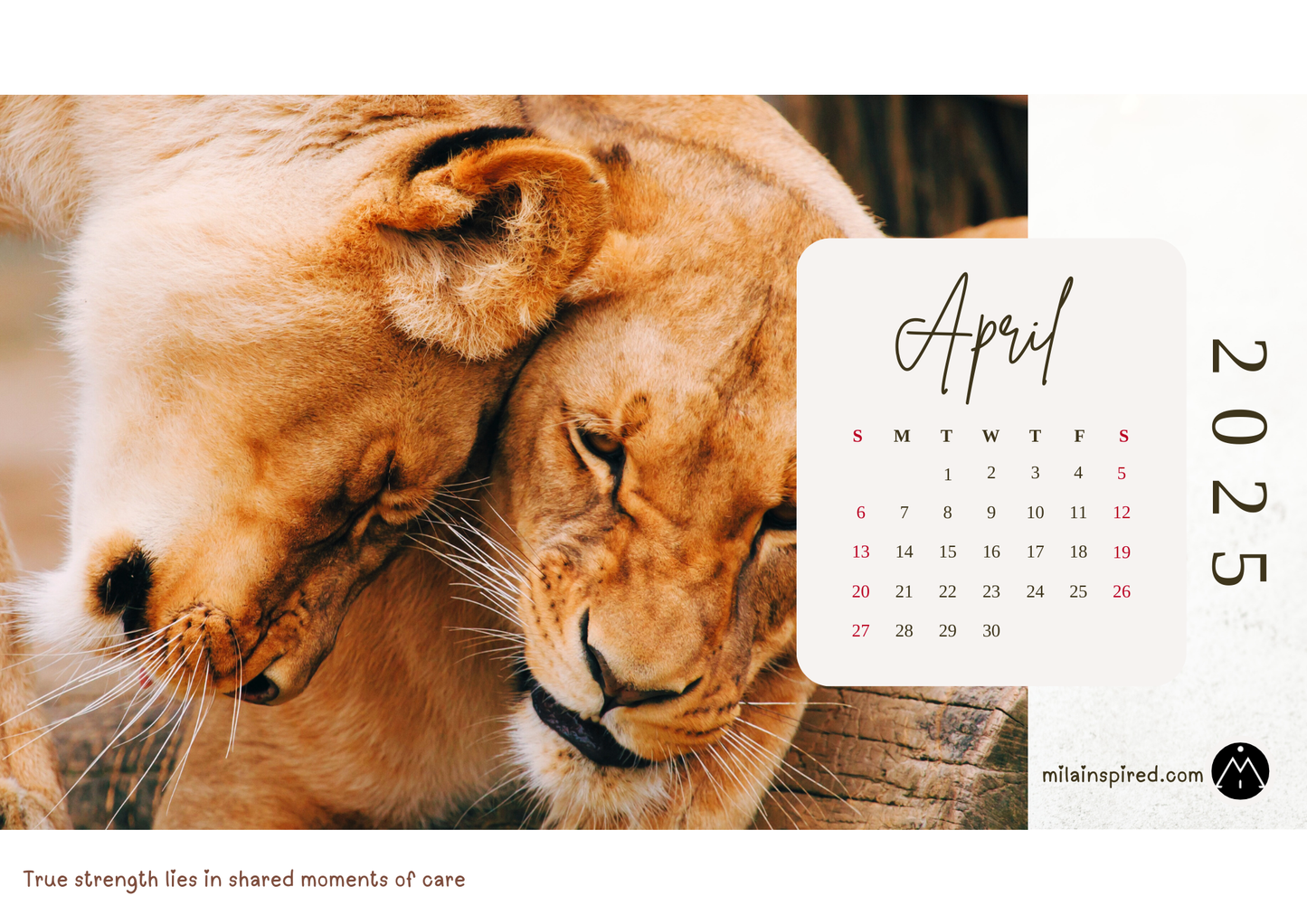 Digital 2025 Calendar with African Safari-Inspired Images - Stunning African Wildlife with Inspiring Sayings