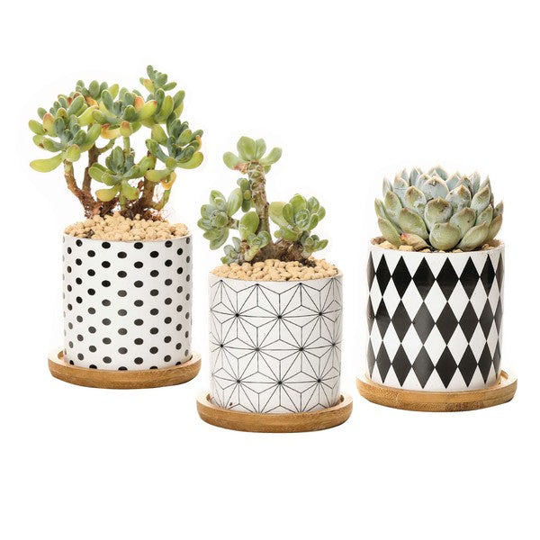 B&W Planters Set of 3 (Plants not included)