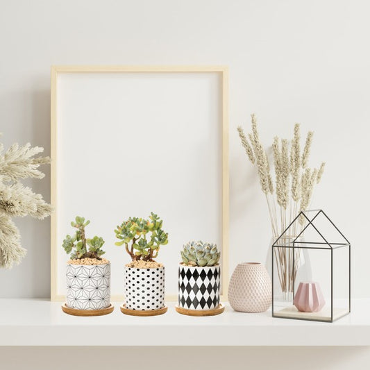 B&W Planters Set of 3 (Plants not included)