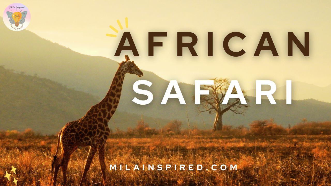 Exciting African Safari Video with Wildlife like giraffes and elephants