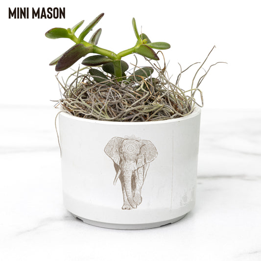 Bestselling Desk Plants with Mandala Elephant Design | Bold African Elephant on a Plant Vase | Recycled Pots
