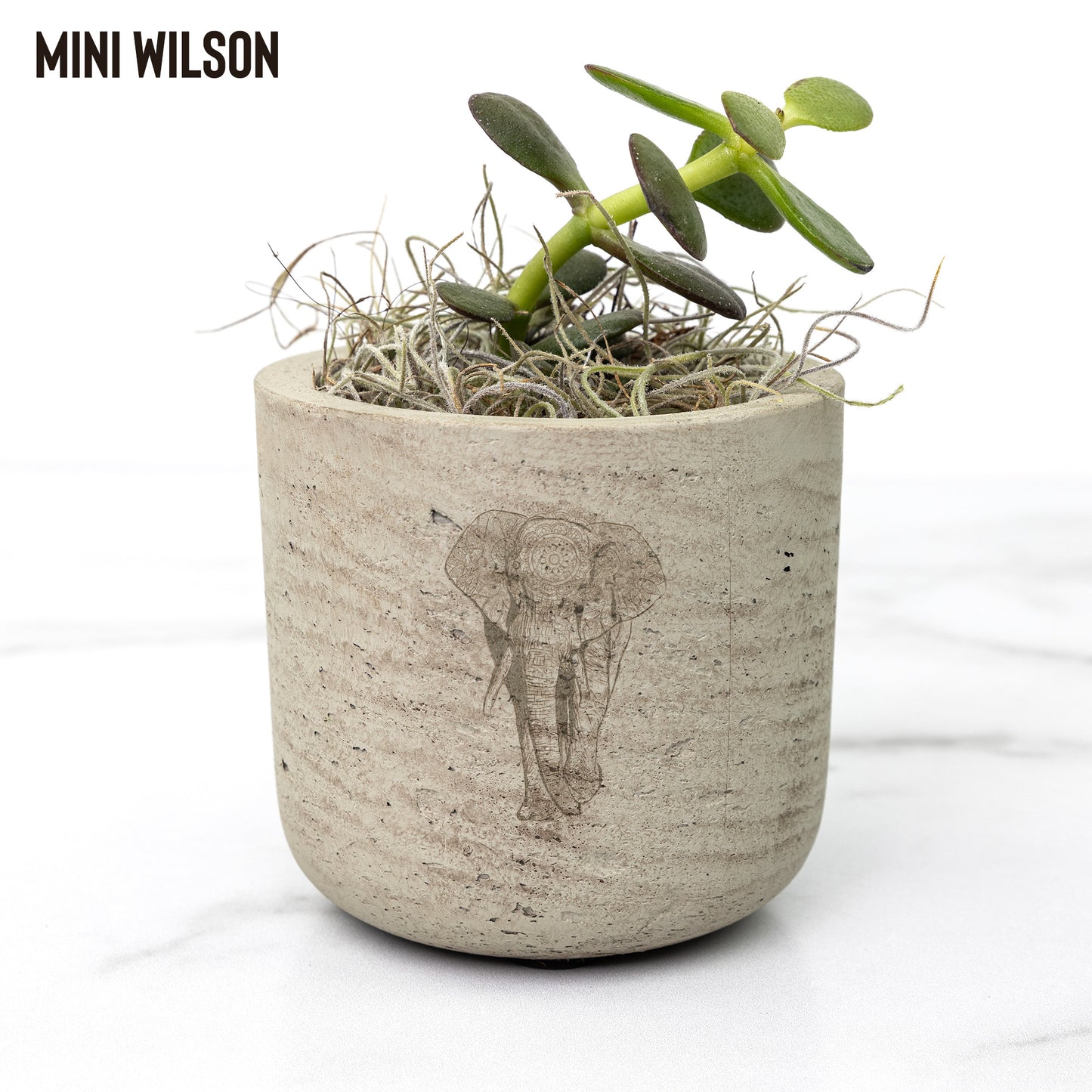 Bestselling Desk Plants with Mandala Elephant Design | Bold African Elephant on a Plant Vase | Recycled Pots