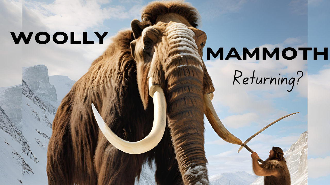 Load video: WHAT? Could the Woolly Mammoth Come Back? Ice Age Giants Explored!