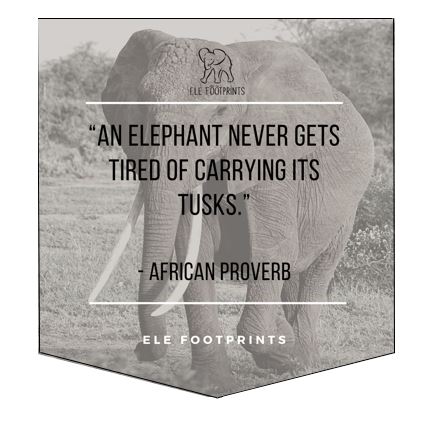 Elephant Pocket Women's T Shirt - An Elephant Never Gets Tired of Carrying its Tusks