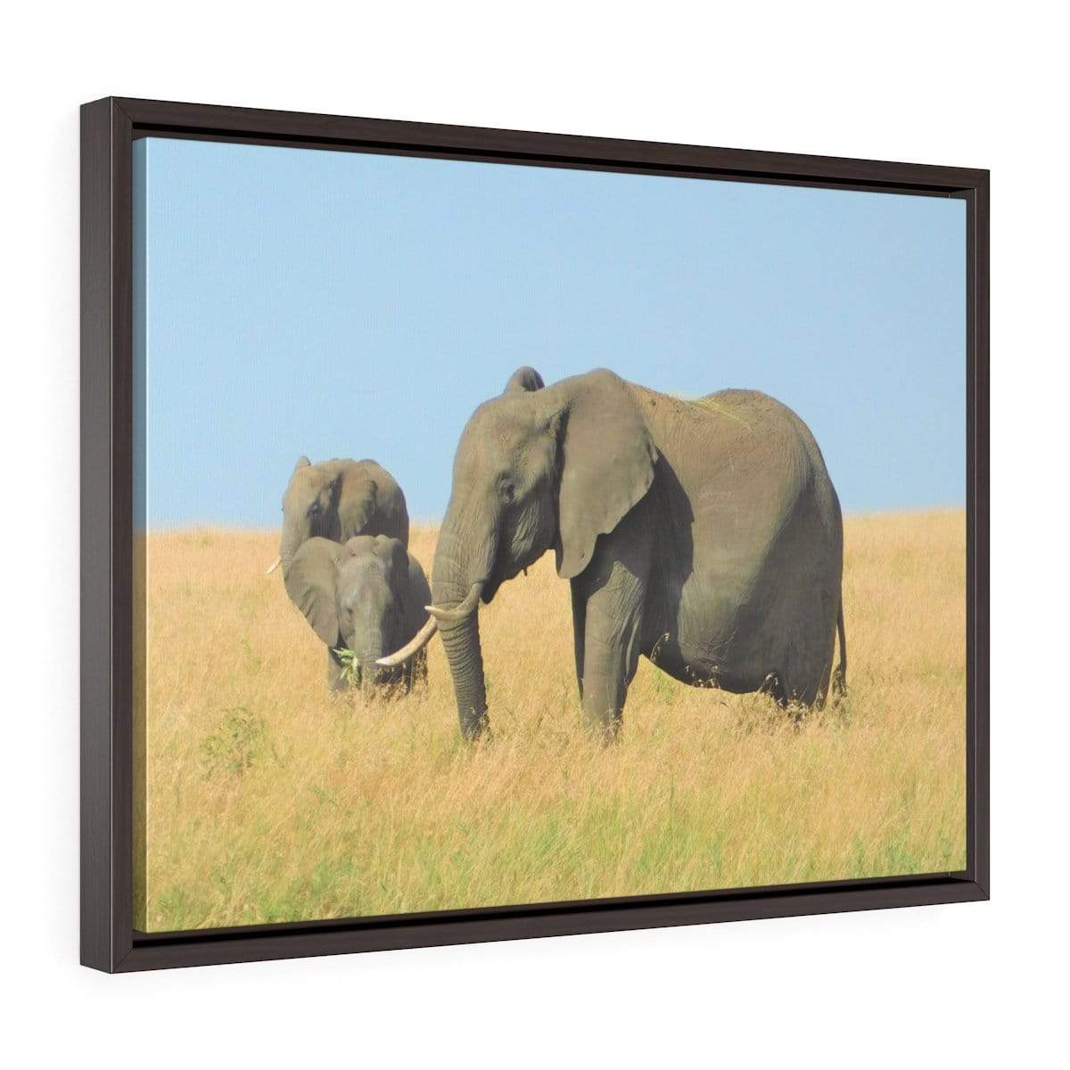 Framed Elephant Canvas - Elephant Family Grazing
