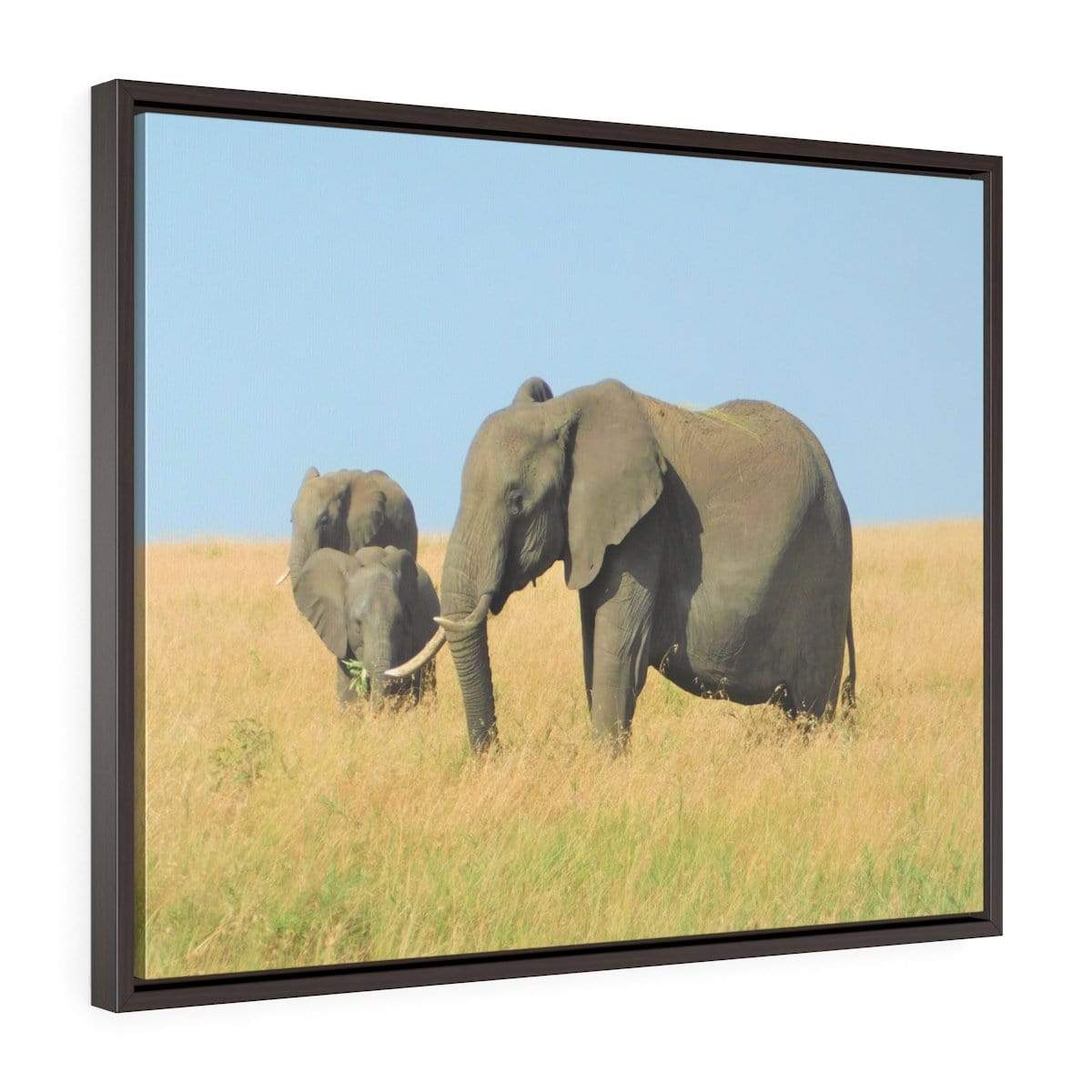 Framed Elephant Canvas - Elephant Family Grazing