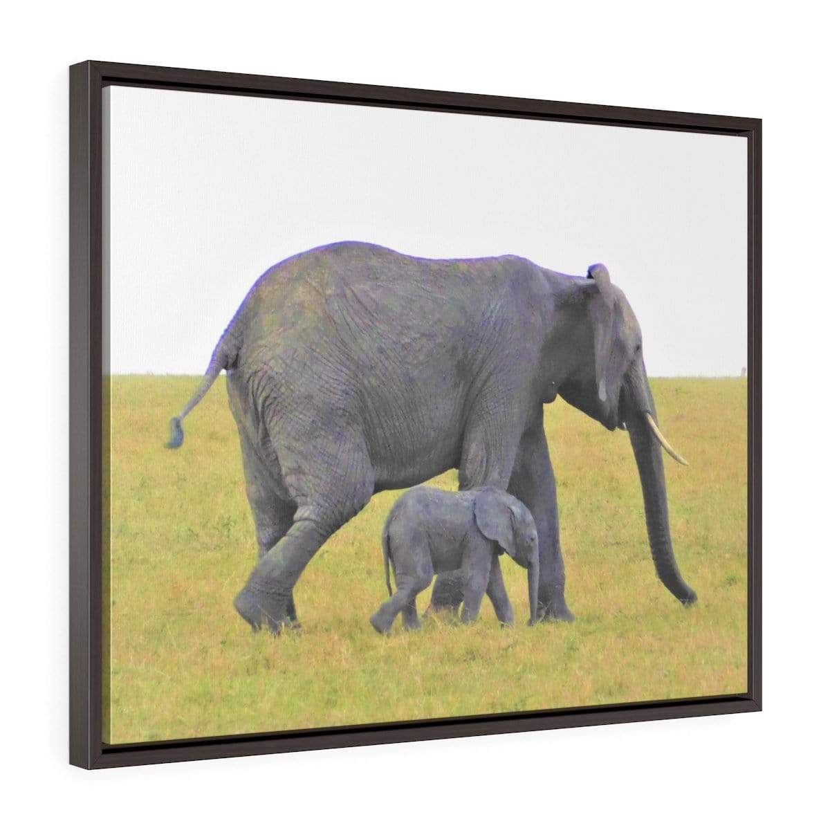 Framed Elephant Canvas - Mama and Baby Elephants Walking